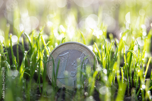 Euro coin on ground in grass photo