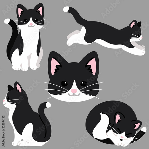 Set of simple and adorable black and white cat illustrations flat colored