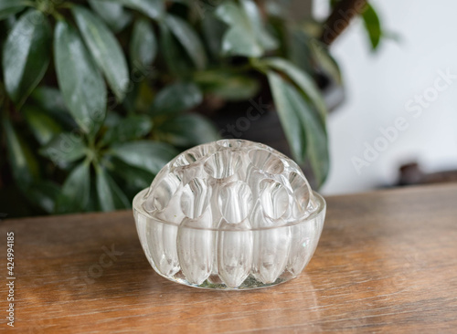 фотографія Mid-century modern glass paperweight on a wooden table with plants in the backgr