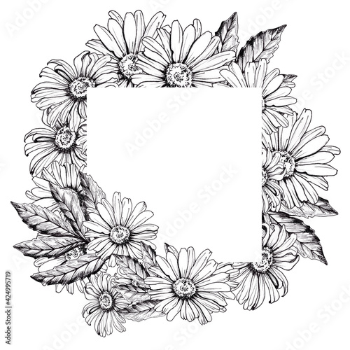 Frame square from daisies and leaves. Graphic black and white icon for business design. Hand-drawn drawing with pen and liner on white background.