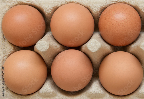 Six yellow chicken eggs in a tray close-up
