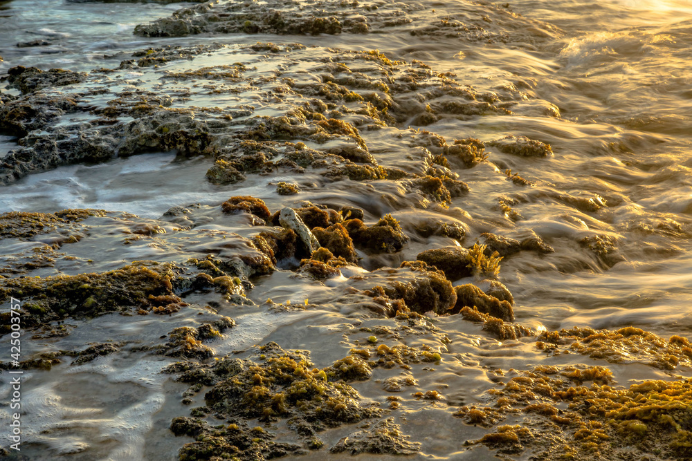 Sea line and stone Sea line and stone
