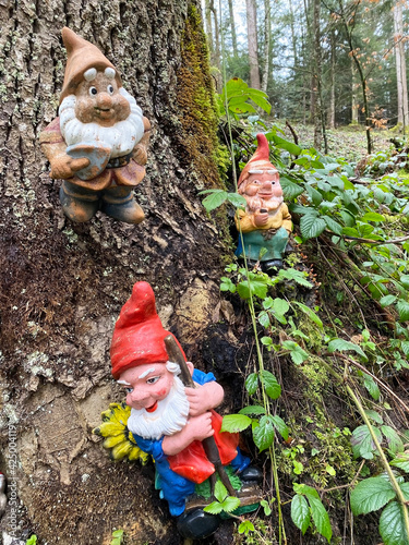 Miniature figurines of dwarfs at the base of a tree and in a natural forest environment, Schönenberg (Schoenenberg) - Canton of Zürich (Zuerich or Zurich), Switzerland / Schweiz photo