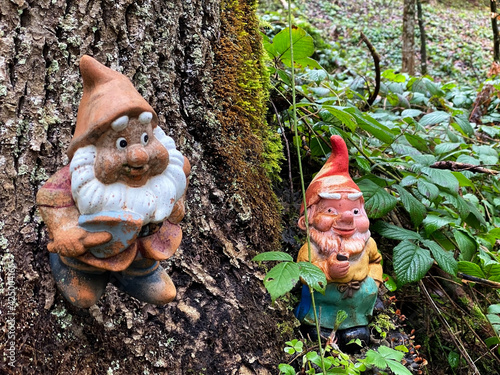 Miniature figurines of dwarfs at the base of a tree and in a natural forest environment, Schönenberg (Schoenenberg) - Canton of Zürich (Zuerich or Zurich), Switzerland / Schweiz photo