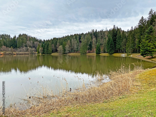 A small accumulation lake Teufenbachweier or Teifebachweiher pond above the canyon of the river Sihl, Schönenberg (Schoenenberg) - Canton of Zürich (Zuerich or Zurich), Switzerland / Schweiz photo