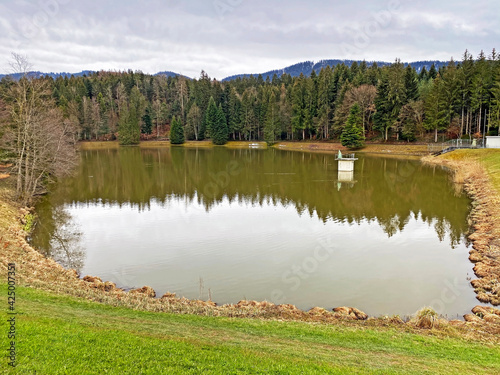 A small accumulation lake Teufenbachweier or Teifebachweiher pond above the canyon of the river Sihl, Schönenberg (Schoenenberg) - Canton of Zürich (Zuerich or Zurich), Switzerland / Schweiz photo