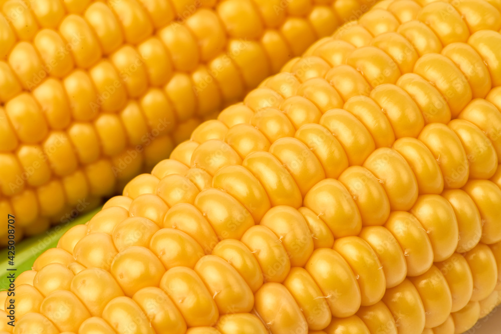 Fresh organic corn cob isolated on white background Fresh organic corn cob isolated on white background
