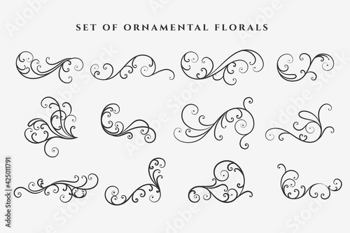 decorative floral swirl ornaments elements set