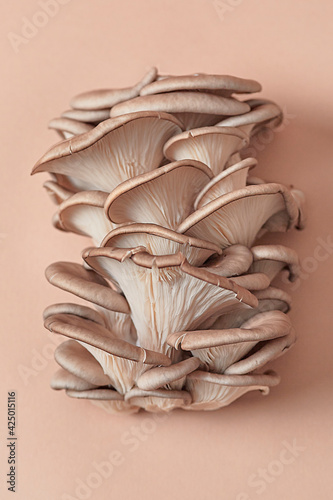 Oyster mushrooms