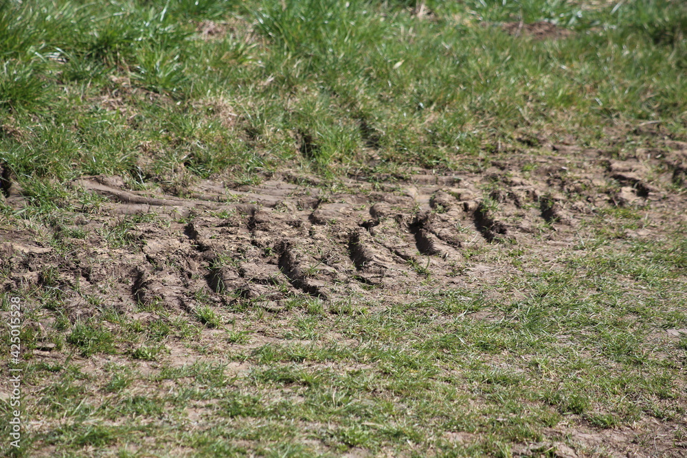 Reifenspuren eines Traktors in der Wiese Reifenspuren eines Traktors in der Wiese