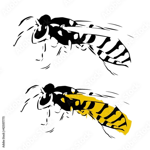 Wasp illustration black yellow isolated on white background