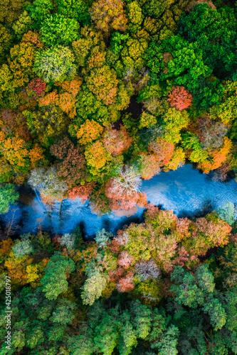 Autumn forest and river. Wildlife in Poland
