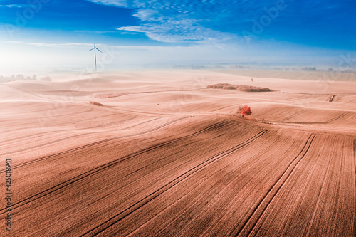 Field and wind turbine. Ren...