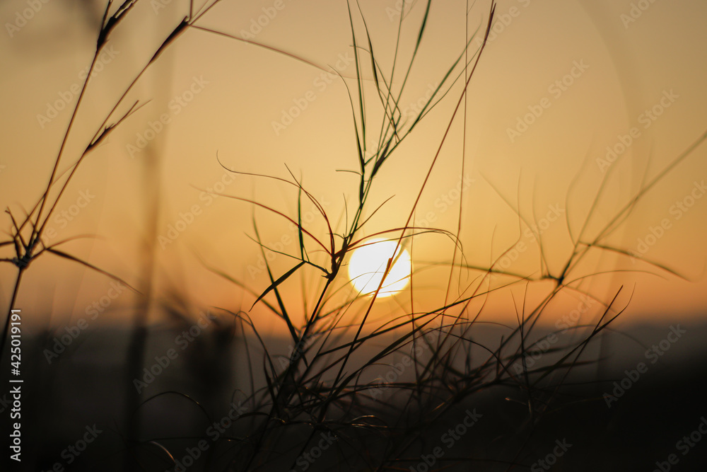 Fototapeta premium Atardecer 