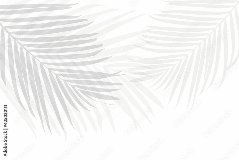 Abstract gray background with shadow from palm branches. Template for presentation. shadows of leaves fall to surface. Silhouette of tropical leaves, natural pattern, texture. Space for text