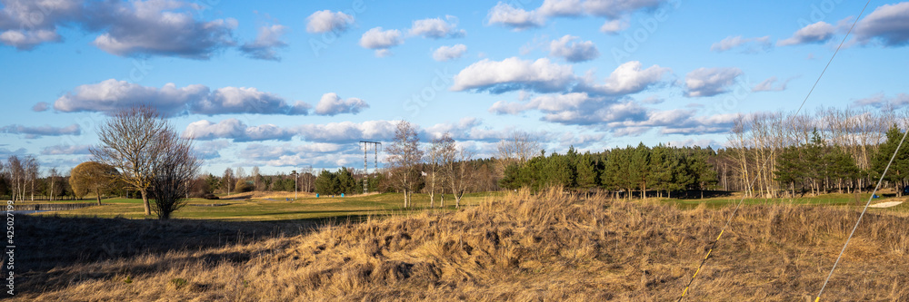 Fototapeta premium Panoramic view of the spring forest in Sweden. Wild Juniper. Beautiful blue sky with white clouds. Rural country landscape of Scandinavia with evergreen coniferous plants. Ecology areas near Stockholm