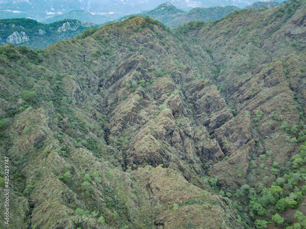 Amazing high angle top view on the natural park among tracking path: