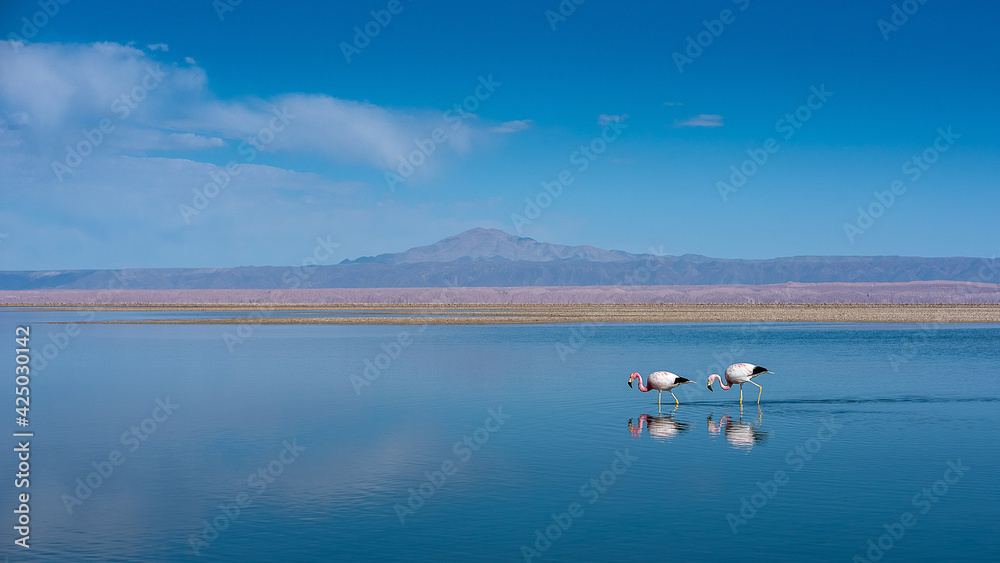 Desert du Atacama en Chili