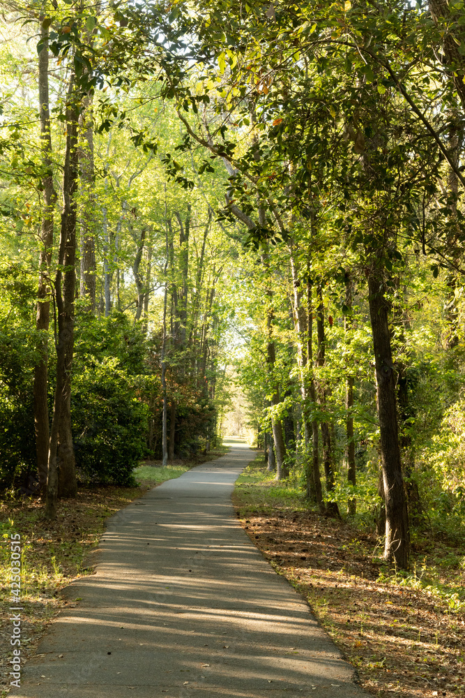Obraz premium Hilton Head Island, South Carolina bike path.