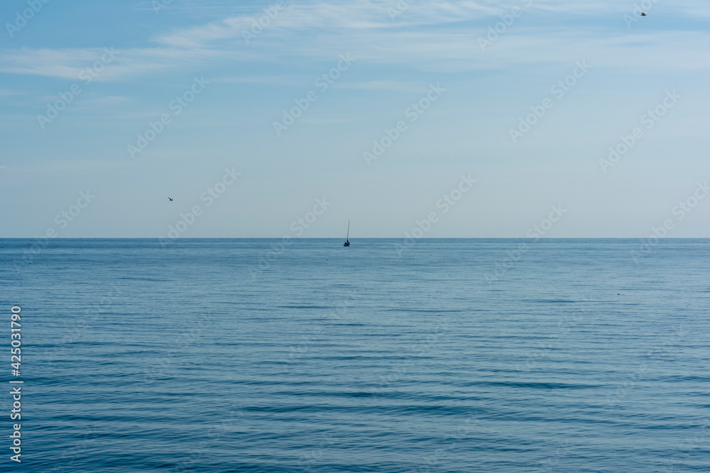 sailboat sailing on the blue surface of the sea against the background of a cloudless sky with a seagull in sunny weather sailboat sailing on the blue surface of the sea against the background of a cloudless sky with a seagull in sunny weather