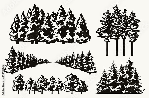 Vintage concept of forest trees