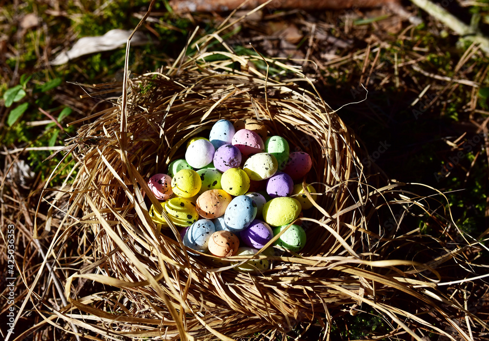 Fototapeta premium Multi-colored Easter eggs in a bird's nest. Straw and twig bird nest with egg. Easter is a Christian holiday that celebrates the belief in the resurrection of Jesus Christ