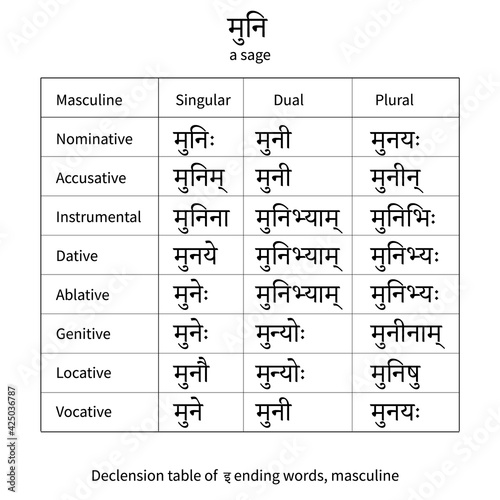 Sanskrit declension table of I-ending words,masculine.Translation of the word:a sage. Endings for 8 cases are shown.Picture for learning the language of ancient India Isolated.Vector
