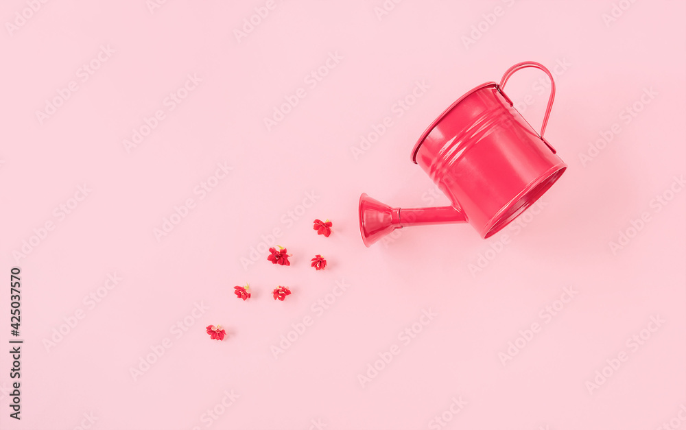Garden watering can with red flowers on pink background. Creative spring bloom concept with copy space. Women's day, wedding, Valentine's day, Mother's day or anniversary idea. Flat lay, top view. Garden watering can with red flowers on pink background. Creative spring bloom concept with copy space. Women's day, wedding, Valentine's day, Mother's day or anniversary idea. Flat lay, top view.