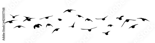 A flock of flying birds. Vector illustration