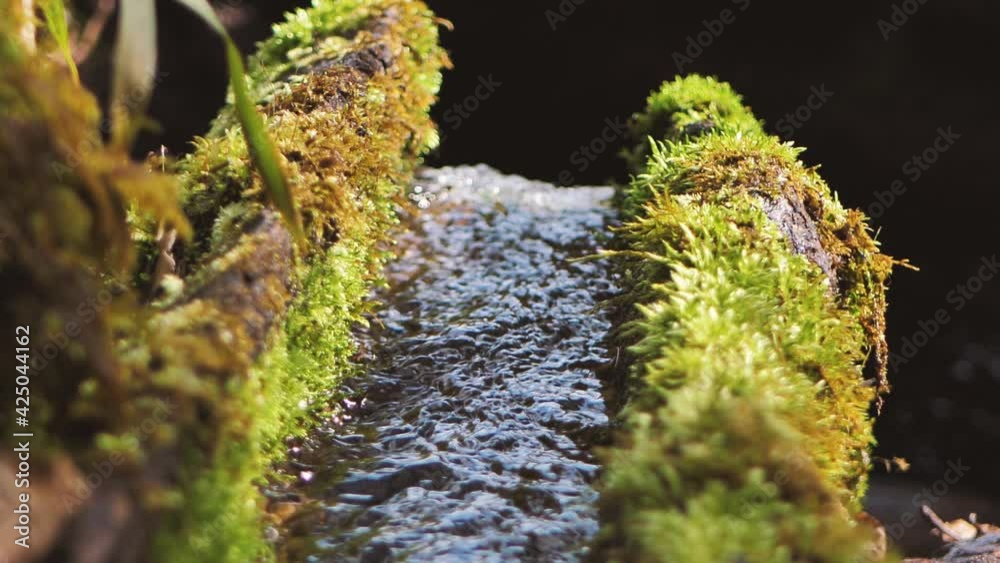 Trough Spring Stockvideon clear water of the spring flows through the trough. Forest ...