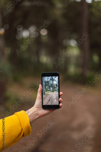 Girl's hand with a smartphone taking a photo of the forest.