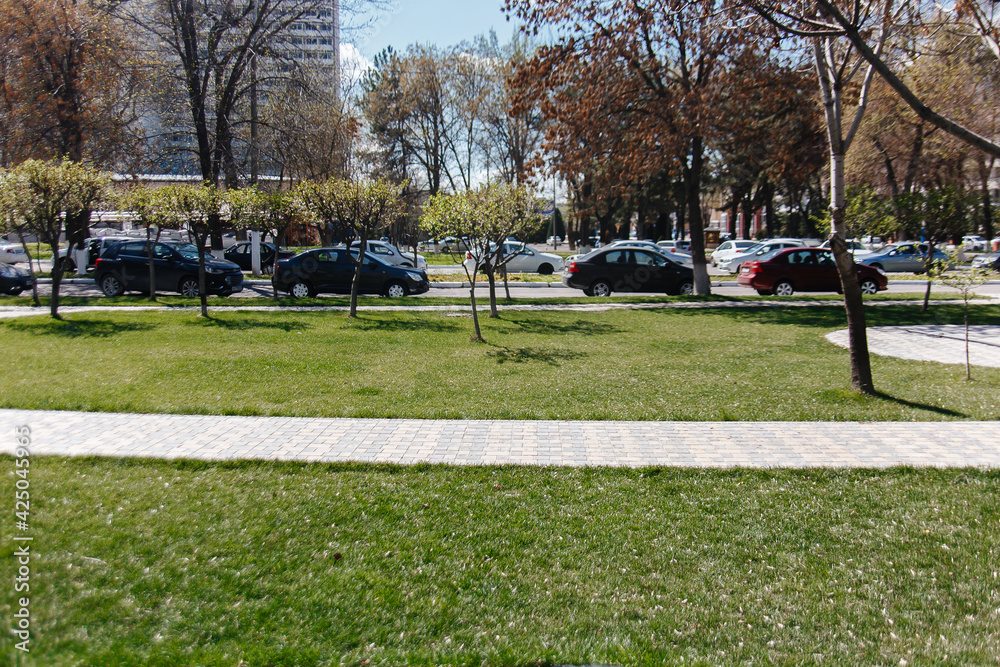 Obraz premium Parking lane outdoor in public park