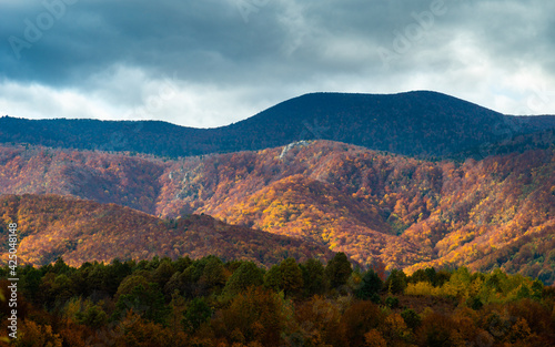 autumn landscape in the mountains © Ammar