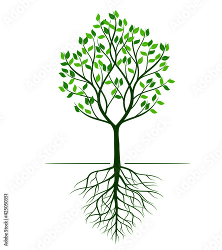 Green spring Tree with Roots. EPS Illustrator