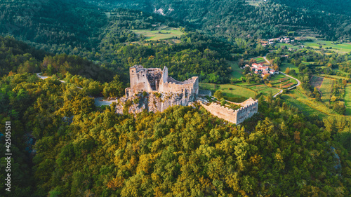 Medieval castle in forest