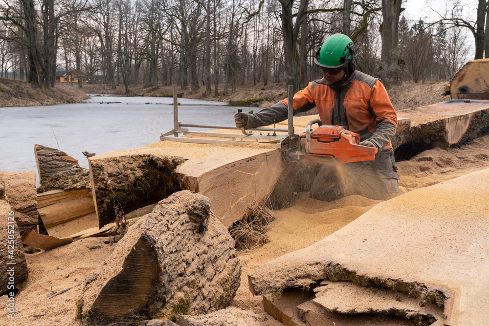 A man cuts boards using a mobile chainsaw mill. A man cuts boards using a mobile chainsaw mill.
