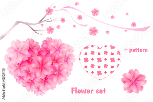 Set of sakura flowers