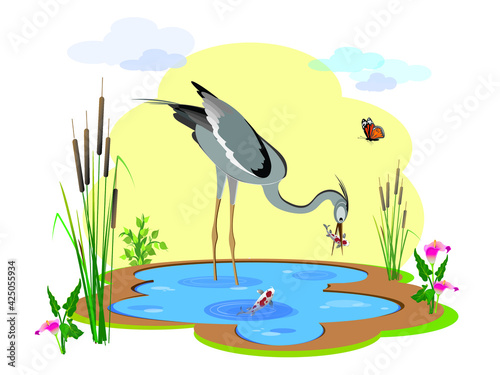 A heron bird stands in the lake water and holds a koi fish in its beak. Vector illustration for design. 