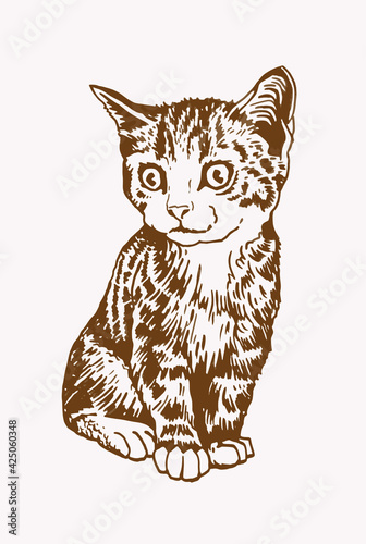 Sepia hand-drawn cat,  vector illustration of pet