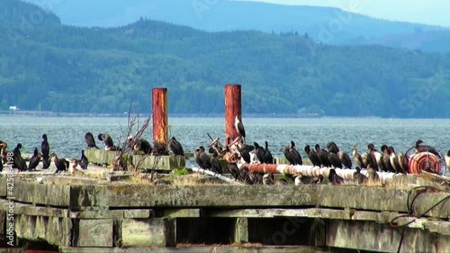 View of Columbia River from Astoria