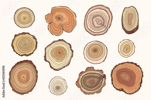 Tree rings hand drawn vector illustrations set