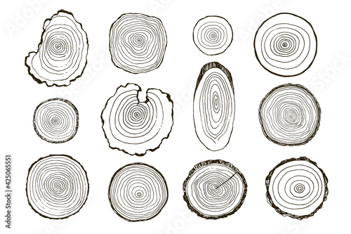 Tree rings hand drawn vector illustrations line set