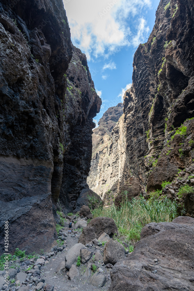 Masca Gorge is a narrow valley in the north-west of the island of Tenerife. The gorge is situated within the Teno Massif. The gorge is a popular tourist destination due to its dramatic scenery. 