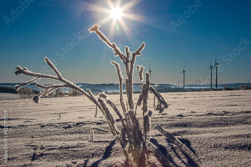 Winterlandschaft mi Raureif