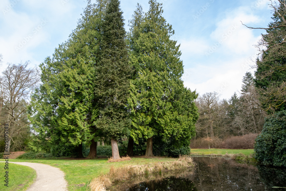 Northern Europe's park and forest