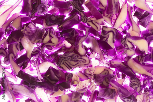 Backlit chopped purple cabbage macro shot