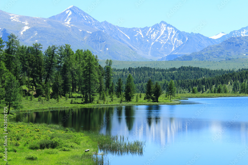 Plakat Lake Kidelyu in Altai high in the mountains, a spruce forest grows around the lake, reflections in the lake, in the distance snow-capped peaks of a high mountain range, summer, sunny