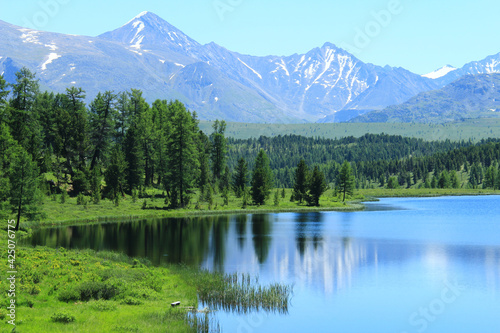 Lake Kidelyu in Altai high in the mountains, a spruce forest grows around the lake, reflections in the lake, in the distance snow-capped peaks of a high mountain range, summer, sunny