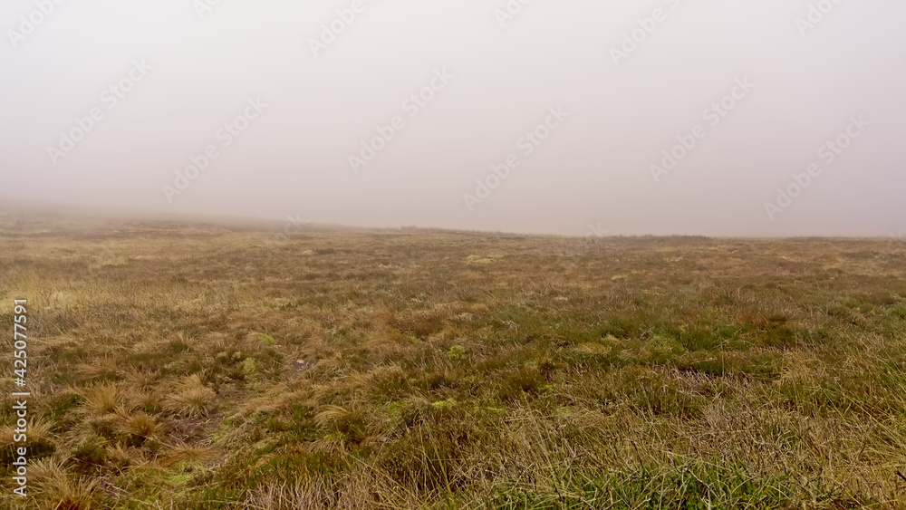 Cloudy Ticknock mountain landscape with dry brown heathland, Dublin, Ireland 