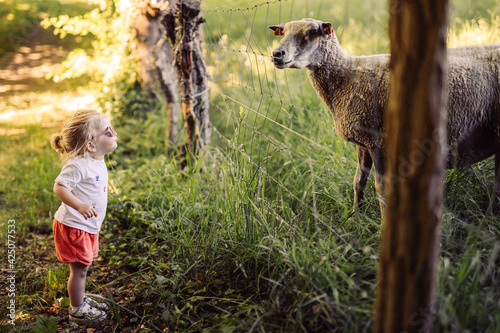 Bild auf Leinwand Balade à la campagne, les enfants découvrent les moutons